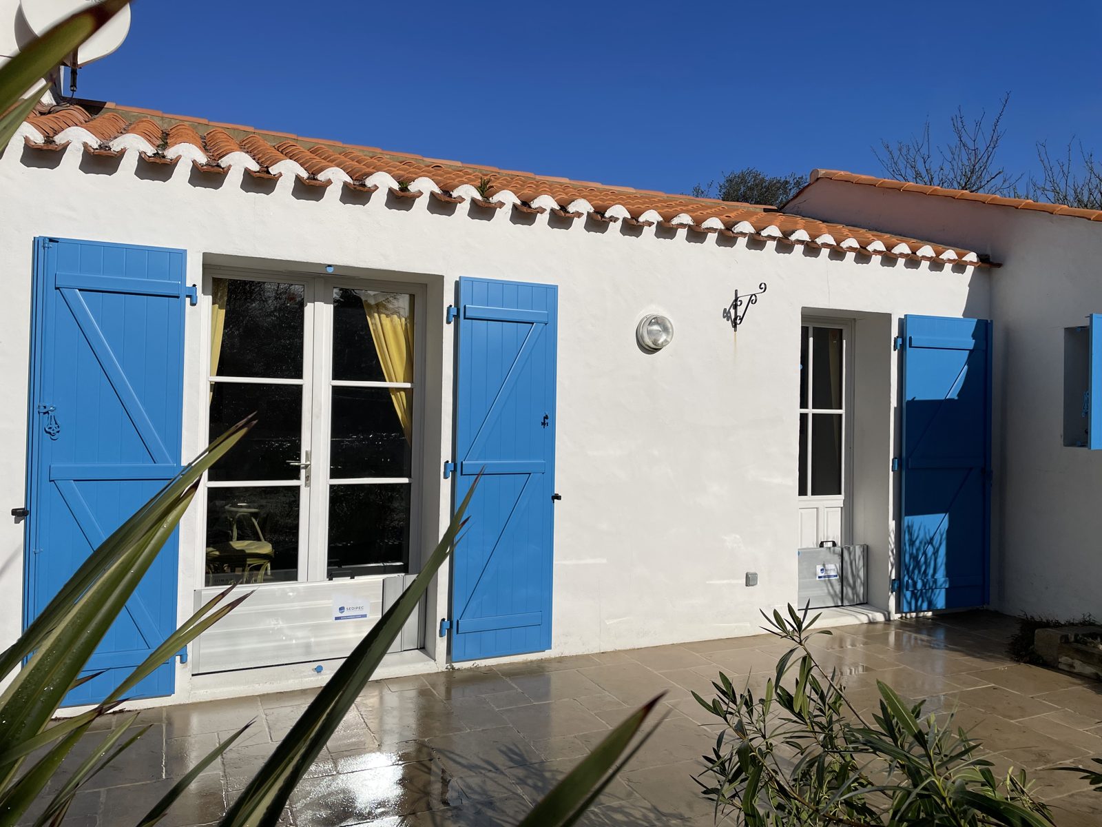 Pose sur une porte-fenêtre, en tableau